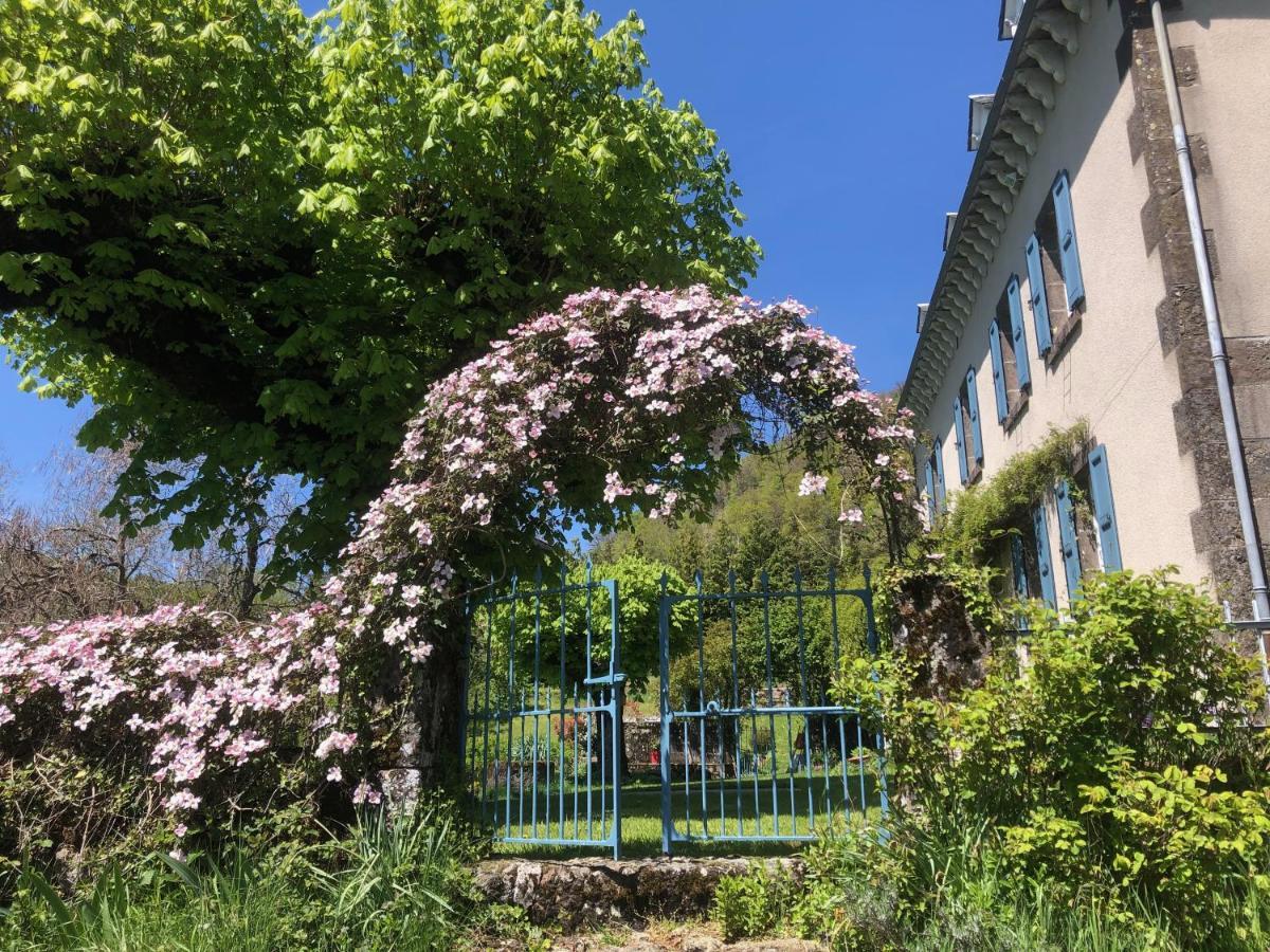 Bed and Breakfast Le Figarelou Thiézac Exteriér fotografie